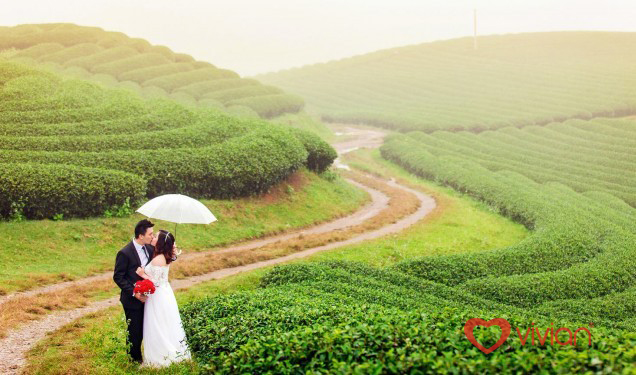 Chụp ảnh cưới ngoại cảnh - Mộc Châu
